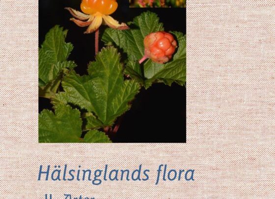 INSTÄLLT: ”Hälsinglands flora” – i Ljusdal