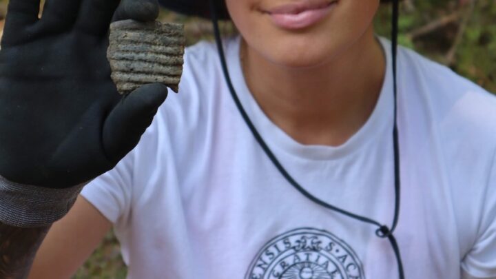 Vikingen i Östersjöområdet