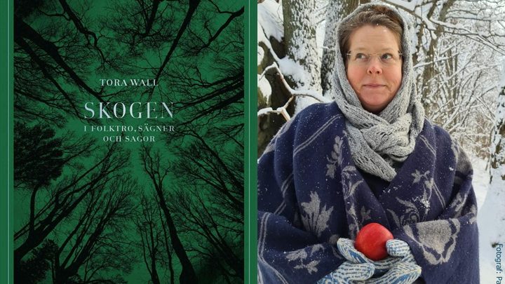 Skogens myter och folklore